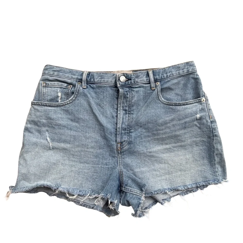 Everlane The Cheeky Short Denim Distressed